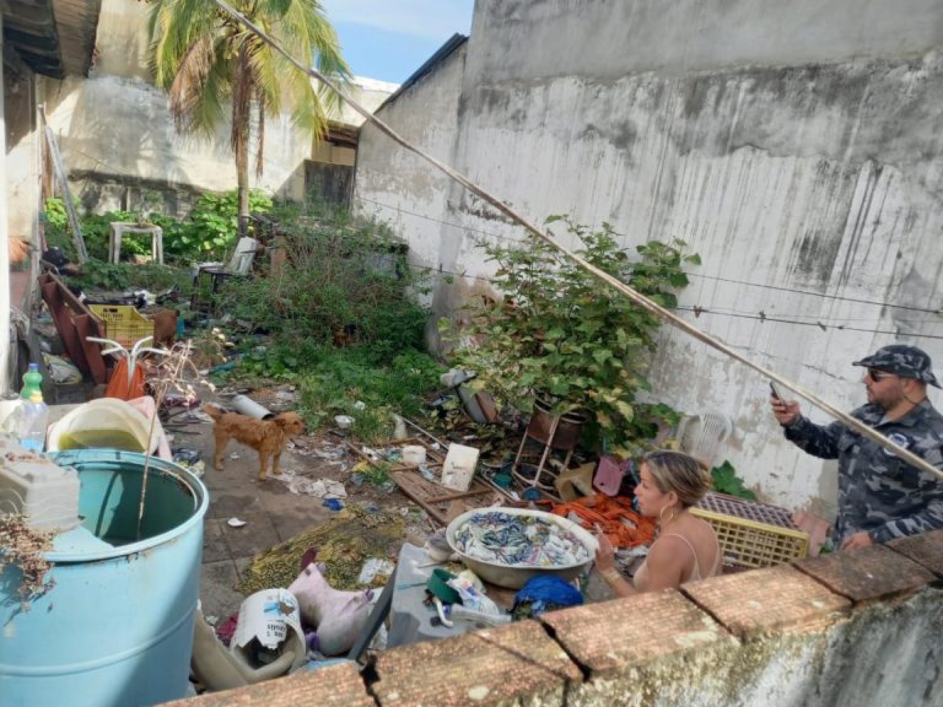 Morador denuncia abandono animal em São Pedro da Aldeia - Sabrina Sá (RC24h)