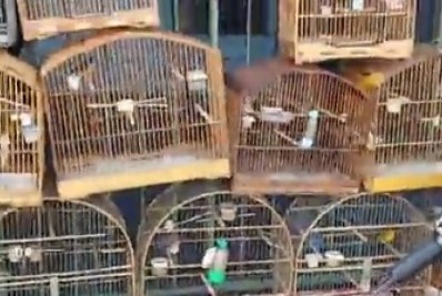PM prende três homens por venda de animais silvestres em feira livre, na Zona Oeste