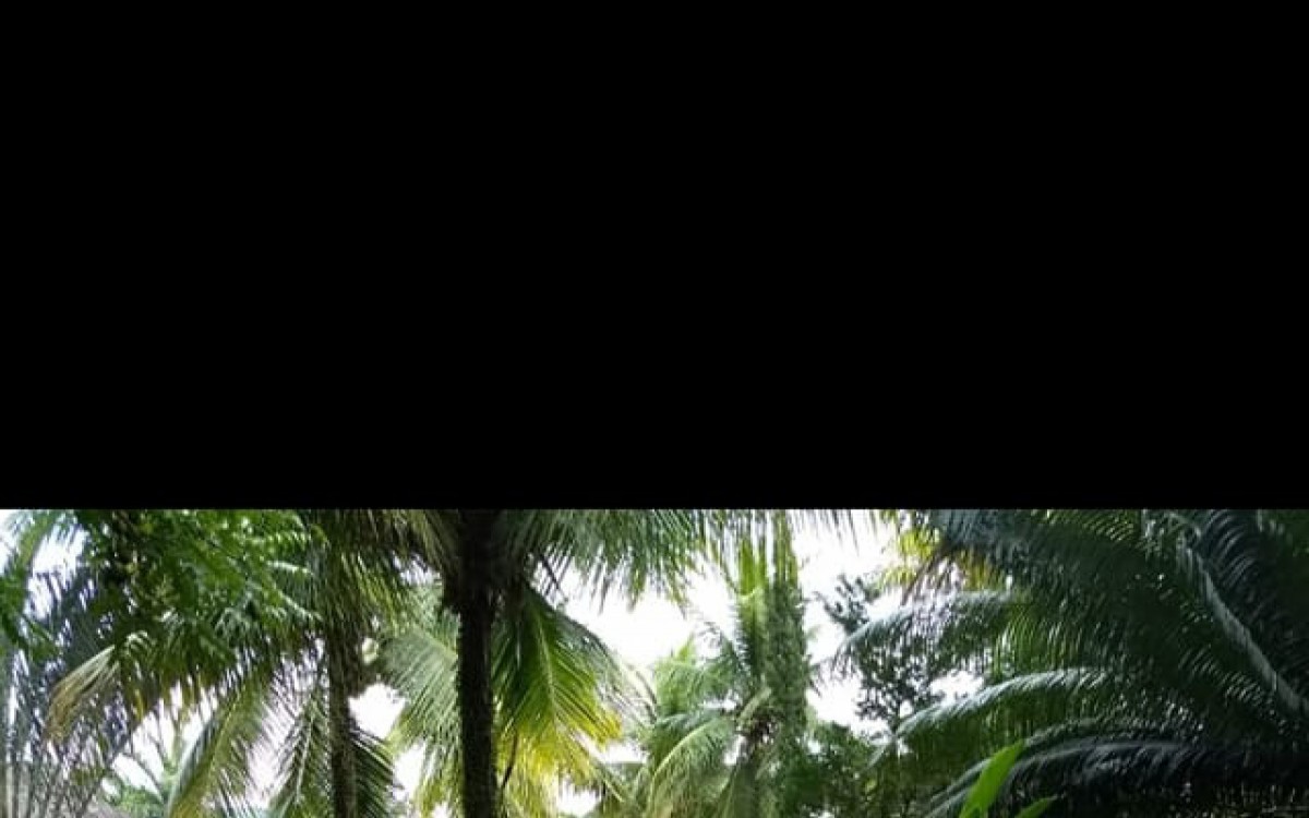 Jurema Alvares Pinto, de 66 anos, ia para o trabalho quando foi morta