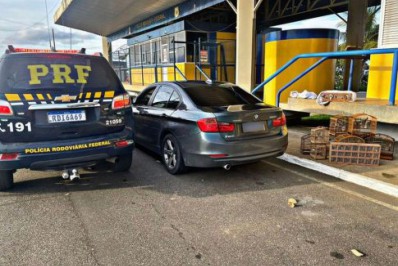 PRF resgata pássaros silvestres em carro de luxo com placa de Cabo Frio