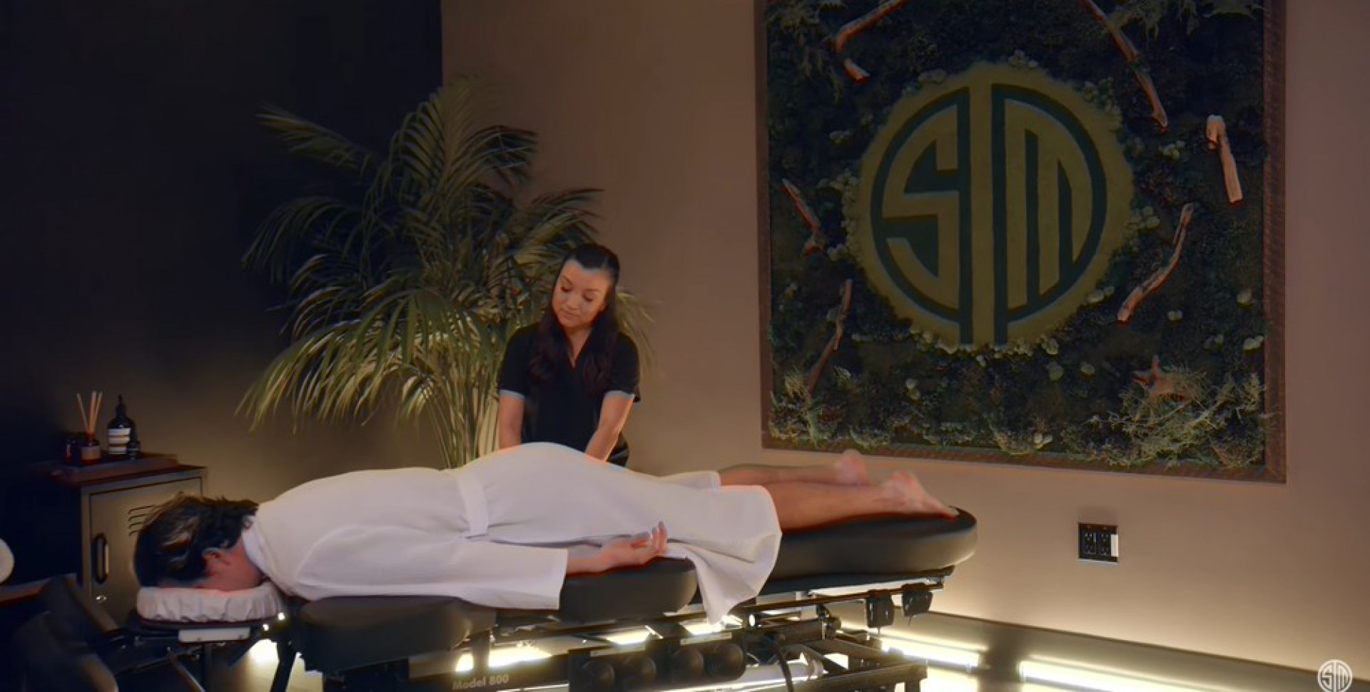 Spa do CT da Team SoloMid - Reprodu&ccedil;&atilde;o/Youtube