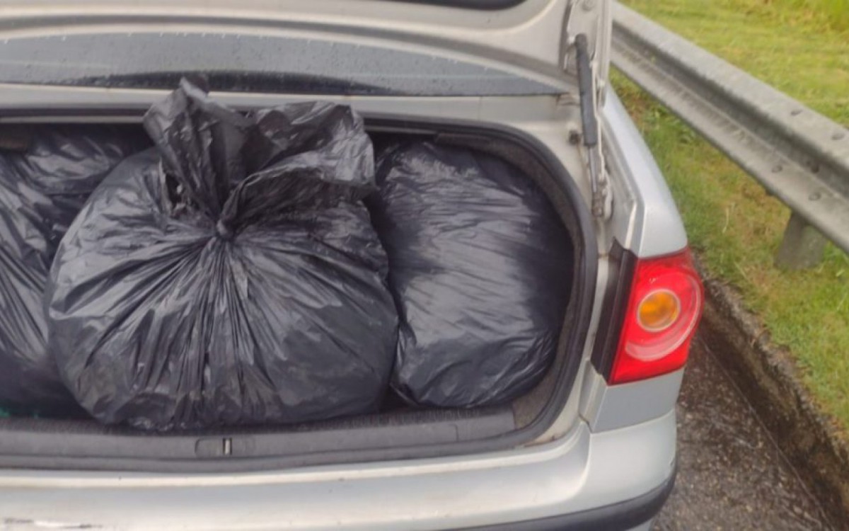 Pol&iacute;cia d&aacute; preju&iacute;zo de R$ 320 mil ao tr&aacute;fico de Cabo Frio; um homem foi preso