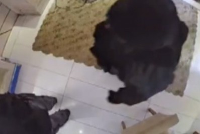 Polícia Civil também irá investigar PMs que invadiram residência na Vila Aliança