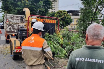 Light e Meio Ambiente realizam ação em conjunto utilizando triturador de galhos