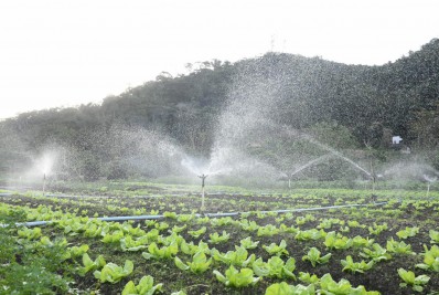 Secretaria de Meio Ambiente convoca produtores agroecológicos urbanos