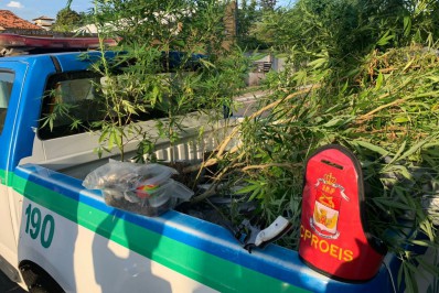 PROEIS realiza grande apreensão de drogas em Saquarema