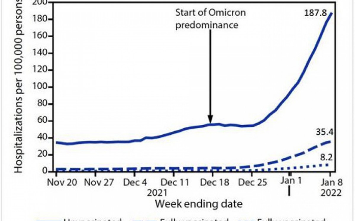 Gr&aacute;fico do governo de Israel mostra crescimento de interna&ccedil;&otilde;es ap&oacute;s predomin&acirc;ncia da &ocirc;micron. N&atilde;o vacinados s&atilde;o grande maioria dos hospitalizados