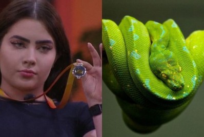 Jade 'Píton'? Entenda apelido que web deu para sister do 'BBB 22'