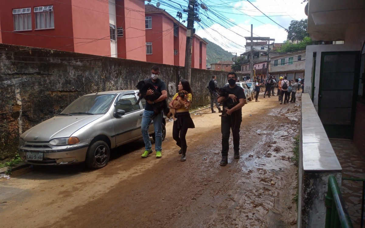 Governo do Estado resgata animais abandonados e leva ra&ccedil;&atilde;o para Petr&oacute;polis