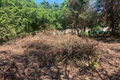 Polícia Ambiental encontra área desmatada em Saquarema 