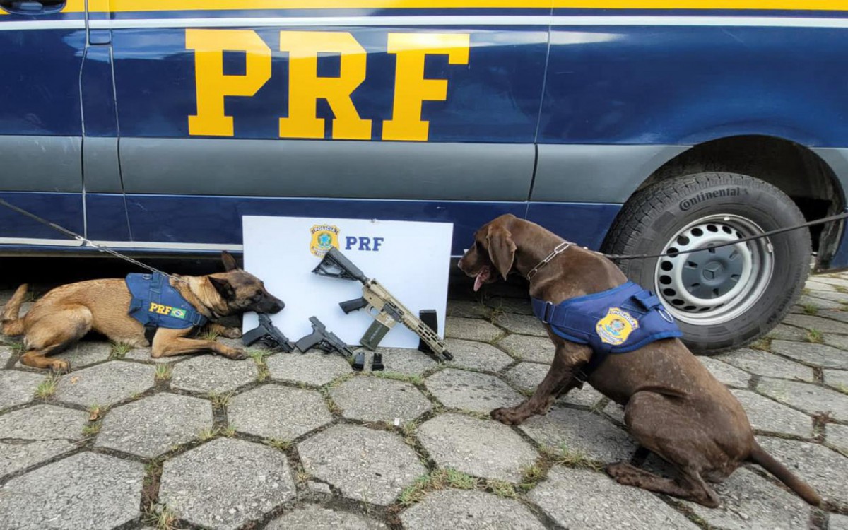 Grupo de Operações com Cães (GOC) auxiliou na ação - Divulgação