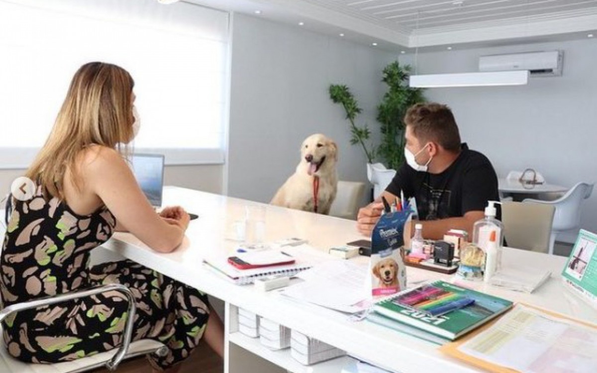 A Golden foi recebi com seu adestrador, Russo 