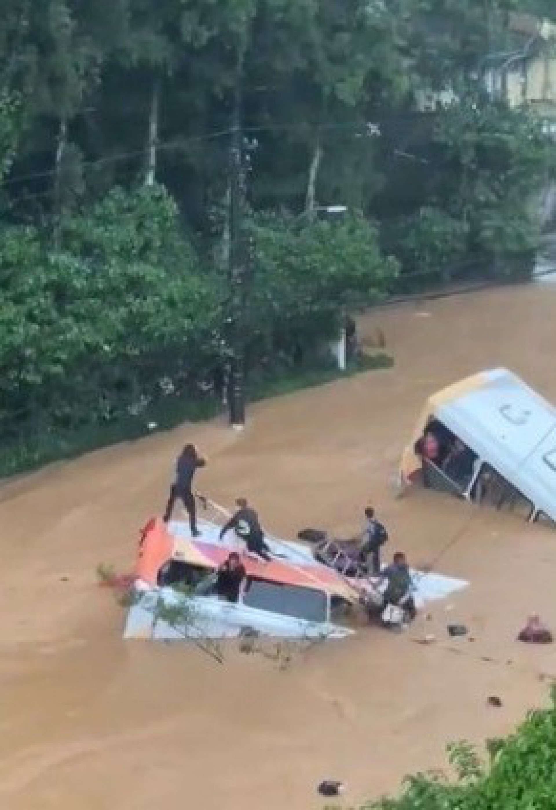 Passageiros de ônibus tentam se salvar, enquanto enchente arrasta os veículos - Reprodução de vídeo