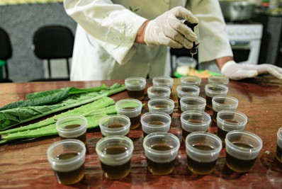 Plantas cultivadas pela Saúde de Cachoeiras são utilizadas na fabricação de fitoterápicos