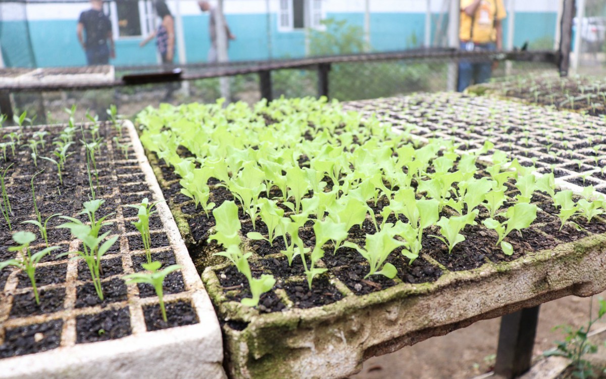 Projeto potencializa cultivo agroecol&oacute;gico resgatando a sustentabilidade e a autoestima dos pequenos produtores rurais