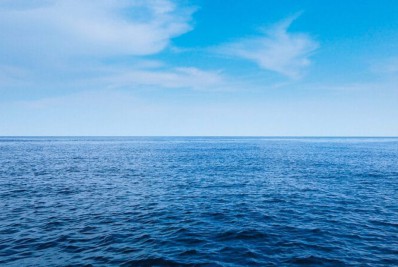 Pesquisadores acham filhote de 'tubarão-fantasma'