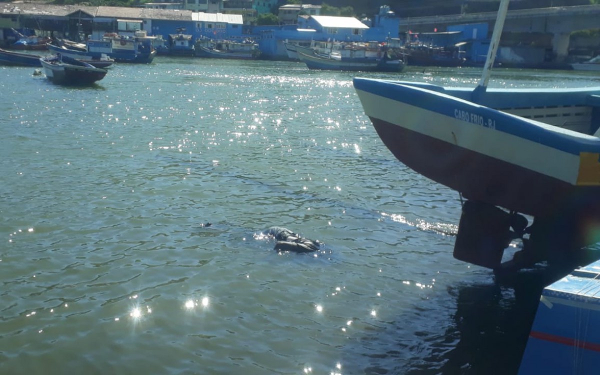O corpo foi encontrado boiando nas &aacute;guas do Canal Itajur&uacute;, pr&oacute;ximo ao deck dos pescadores