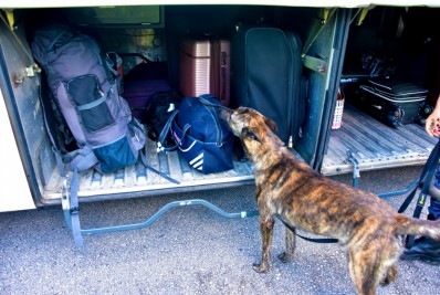 Operação Carnaval: órgãos de Segurança Pública fiscalizam veículos