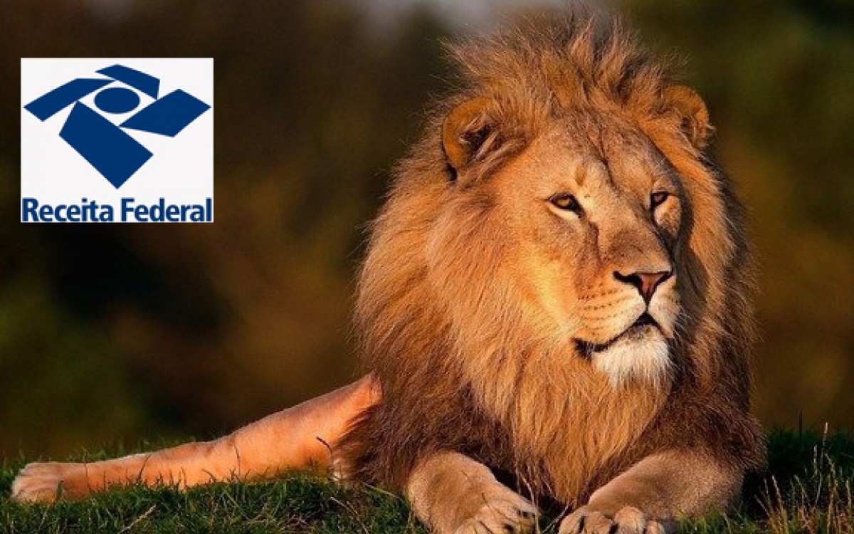O leão é usado como símbolo do imposto de renda - Fotomontagem: Leão: Robert Greene - Pixabay - Creative Commons / Logomarca RFB: Receita Federal / Arte: Izaias França - O Dia