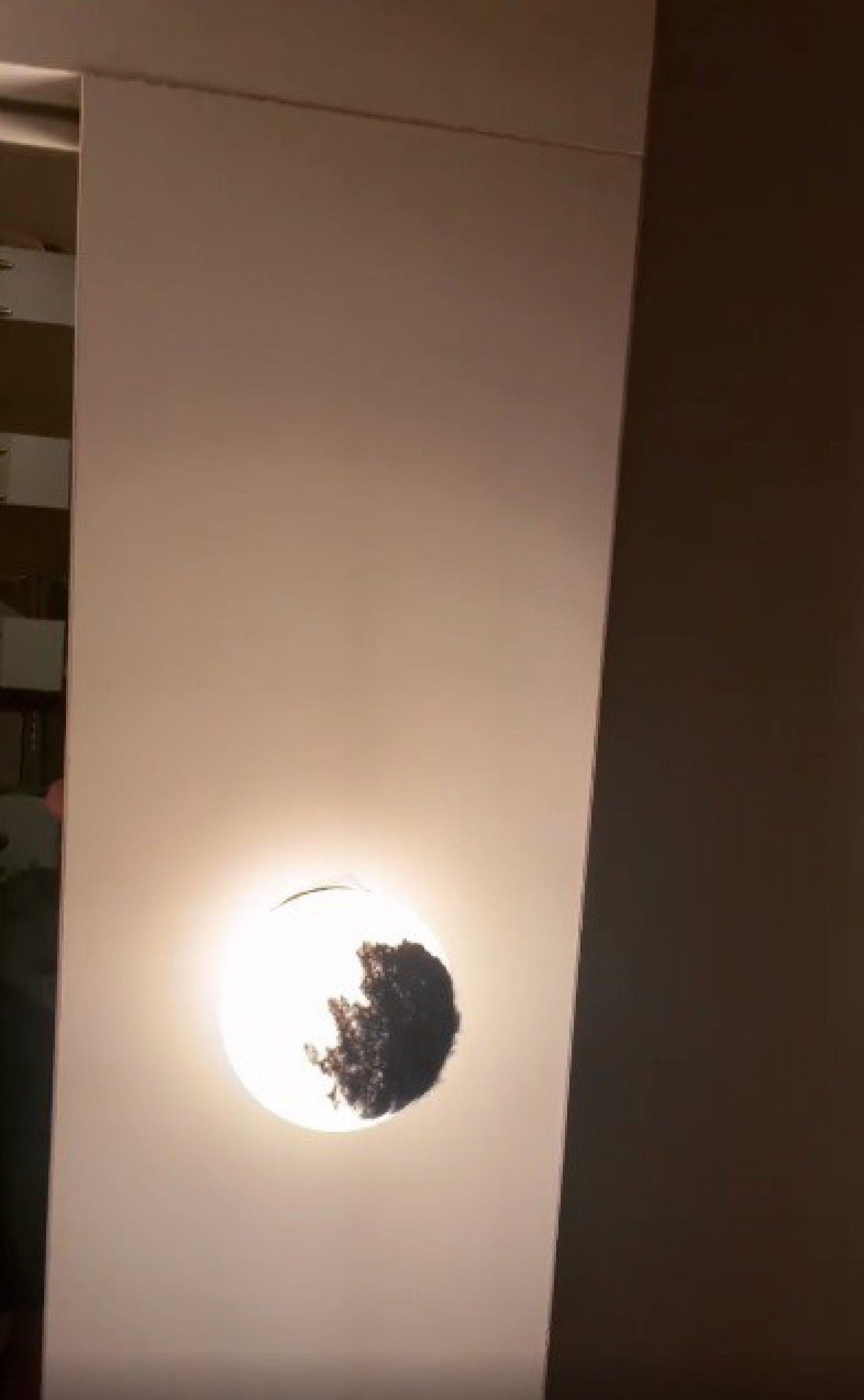 Lâmpada queimou o casaco de Rafa Brites  - Reprodução/Instagram