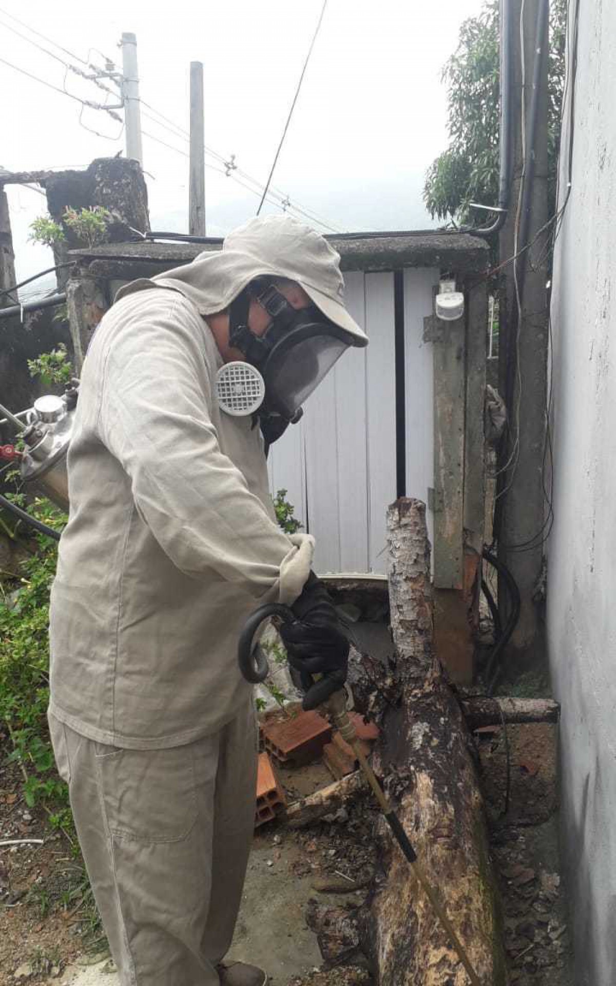 Em Mesquita, as solicita&ccedil;&otilde;es para o servi&ccedil;o de controle de zoonoses podem ser feitas pelas redes sociais ou pelo Colab