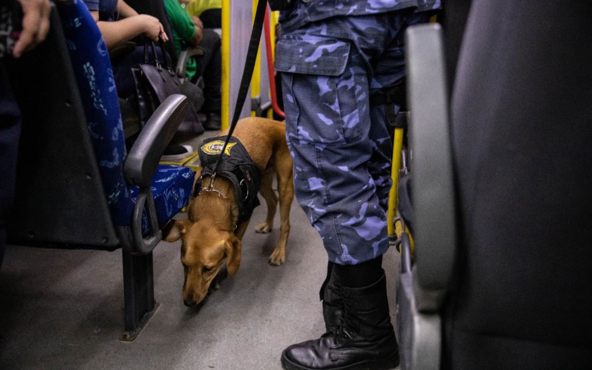 C&atilde;o farejador faz busca por drogas em &ocirc;nibus