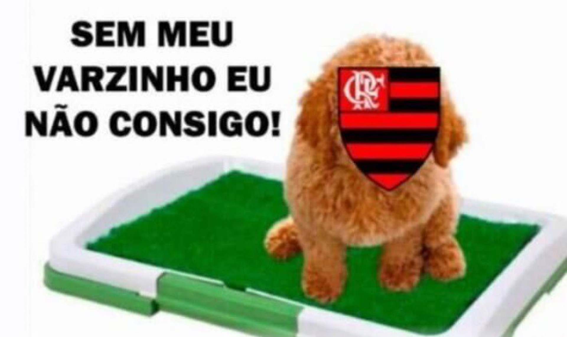 Memes: Torcedores do Vasco se irritam com suposto pênalti ignorado contra o Flamengo - Reprodução