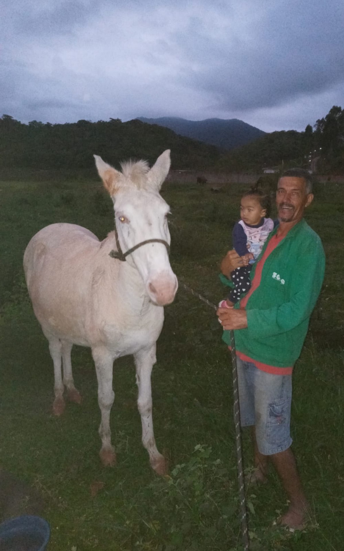 Nei do Frete segura a neta no colo com a mula Cambraia. Ele tem esperan&ccedil;a de recuperar o animal