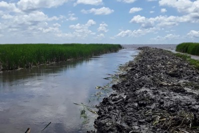 Limpeza de vegetação na foz do canal Campos-Macaé facilita drenagem em áreas alagas de propriedades rurais
