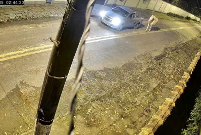 Câmera flagra furto de mula em Guapimirim