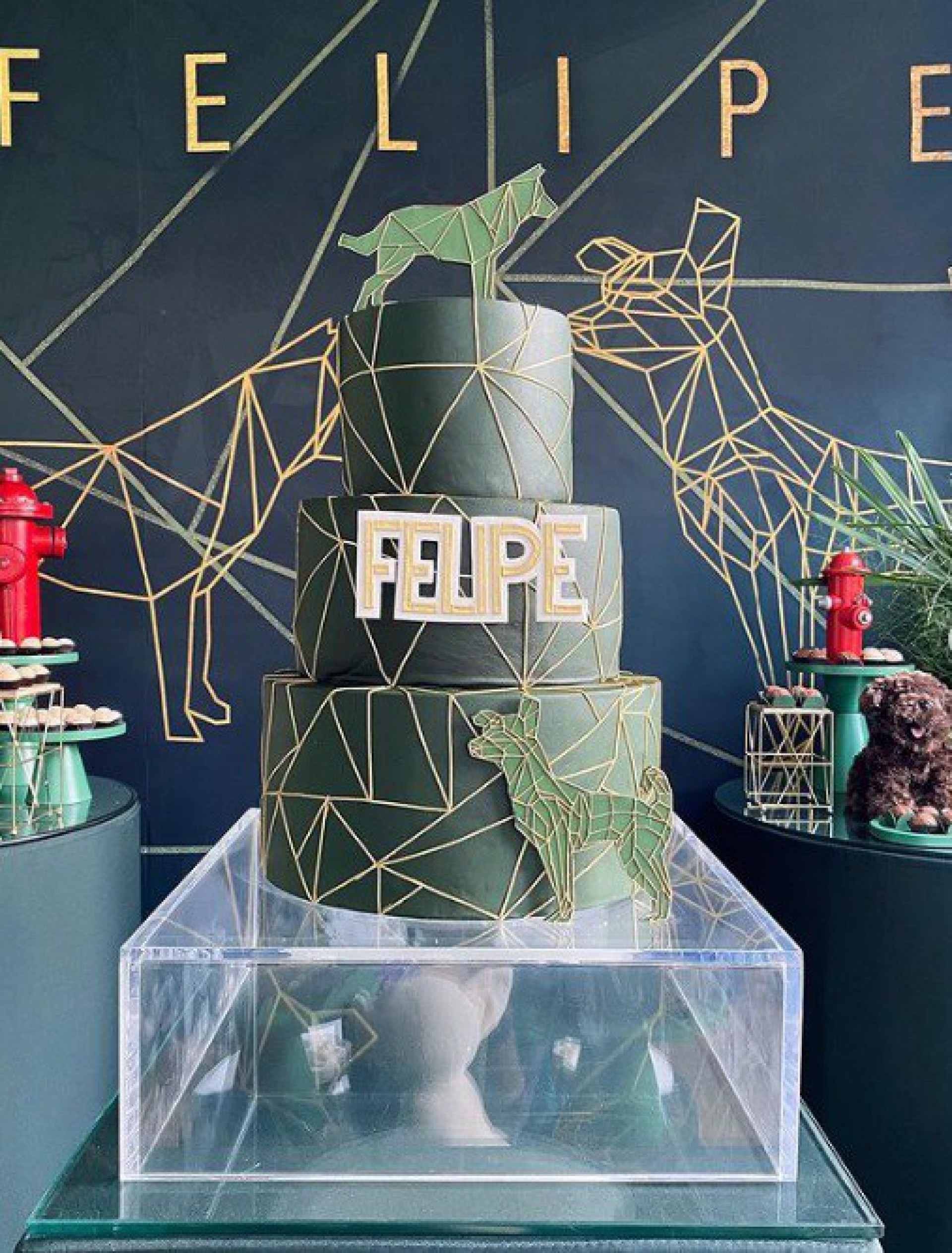 Carla Dias mostrou detalhes da festa para o amado  - Reprodução/Instagram