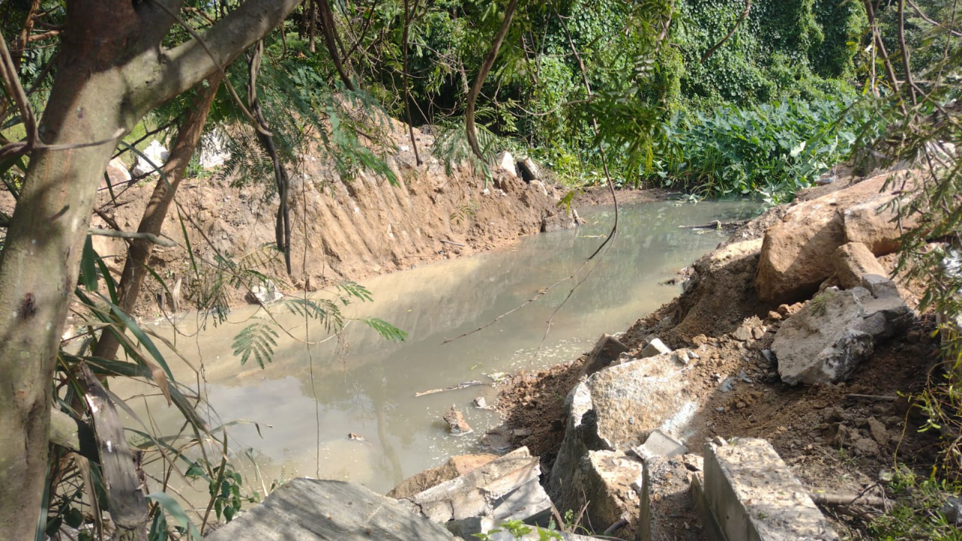 Operação contou com MPRJ, Polícia Militar Ambiental e Prefeitura do Rio - Divulgação