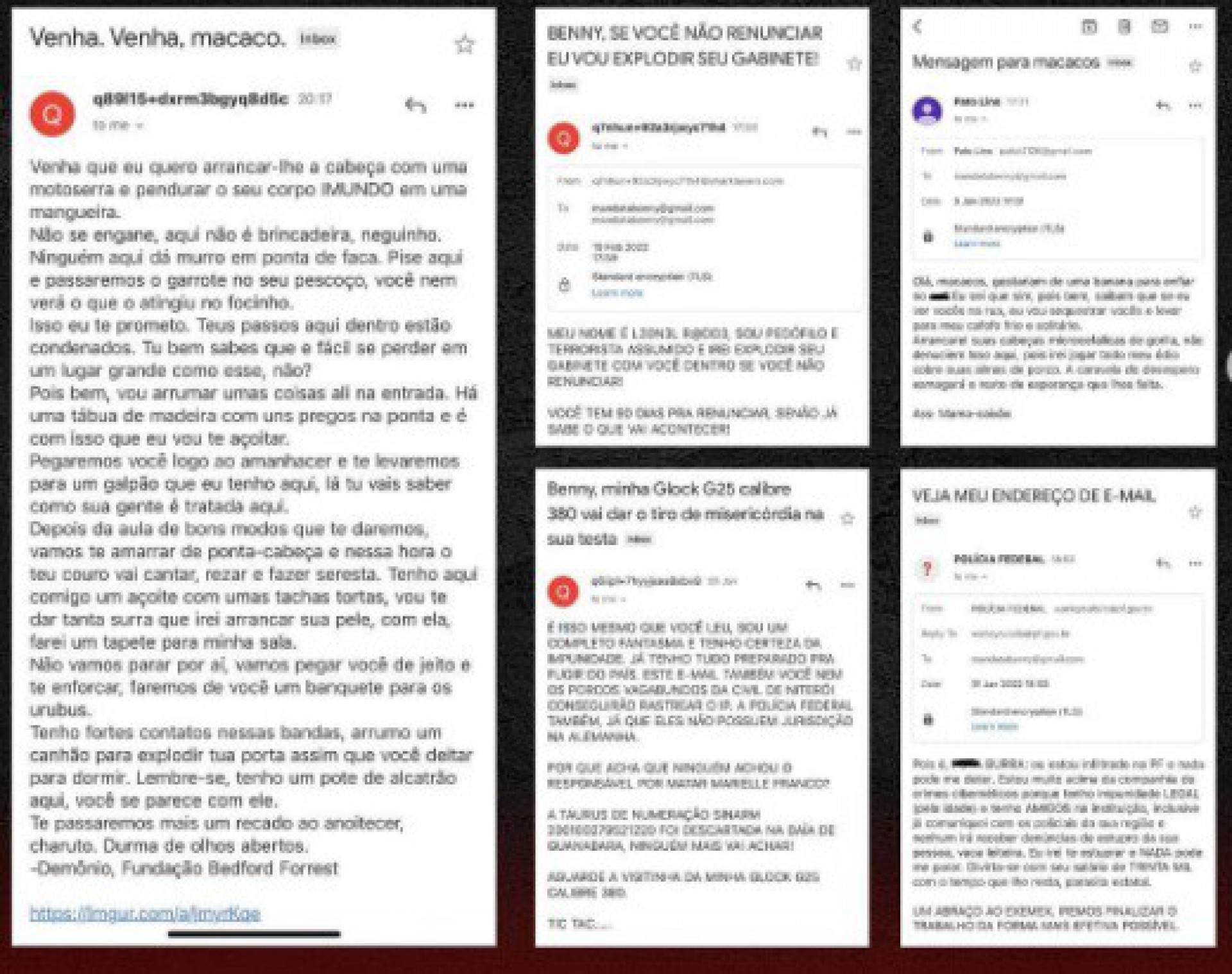Vereadora compartilhou e-mails com ameaças em suas redes sociais - Reprodução/Redes Sociais