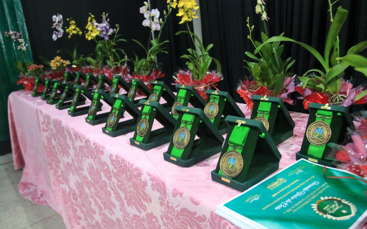 Medalha do Mérito da Mulher