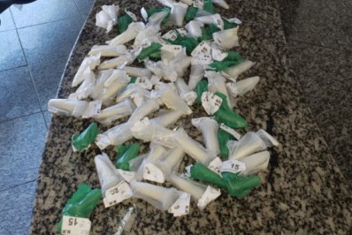 Serviço Reservado da PM prende acusado de tráfico em São Pedro da Aldeia