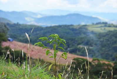 Paty do Alferes vai sediar capacitação sobre ICMS Ecológico