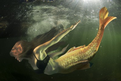 O que significa sonhar com sereia?