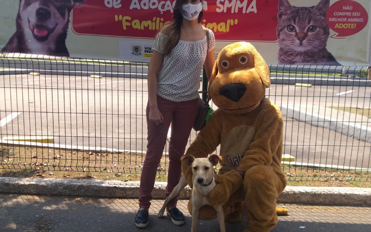 Espacio de adopción ‘Família Animal’ tiene lugar en Volta Redonda |  Vuelta redonda