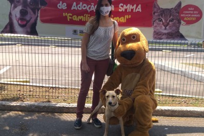 Espaço de adoção ‘Família Animal’ acontece em Volta Redonda