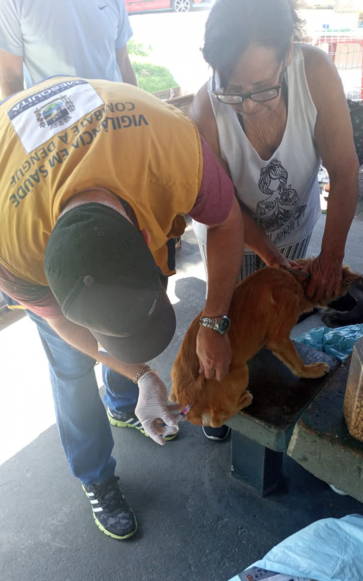 O evento, da Coordenadoria de Vigil&acirc;ncia Ambiental e Zoonoses, contou, tamb&eacute;m, com a aplica&ccedil;&atilde;o de vacinas antirr&aacute;bica