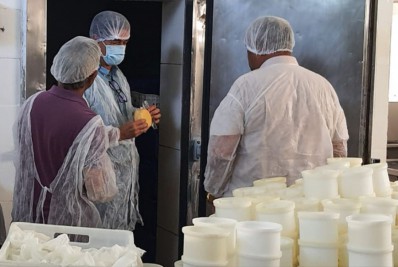 Qualificação e investimento em tecnologias devem fortalecer agroindústrias de laticínio