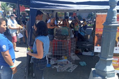 Animais abandonados foram acolhidos na Feira de Adoção de Mesquita