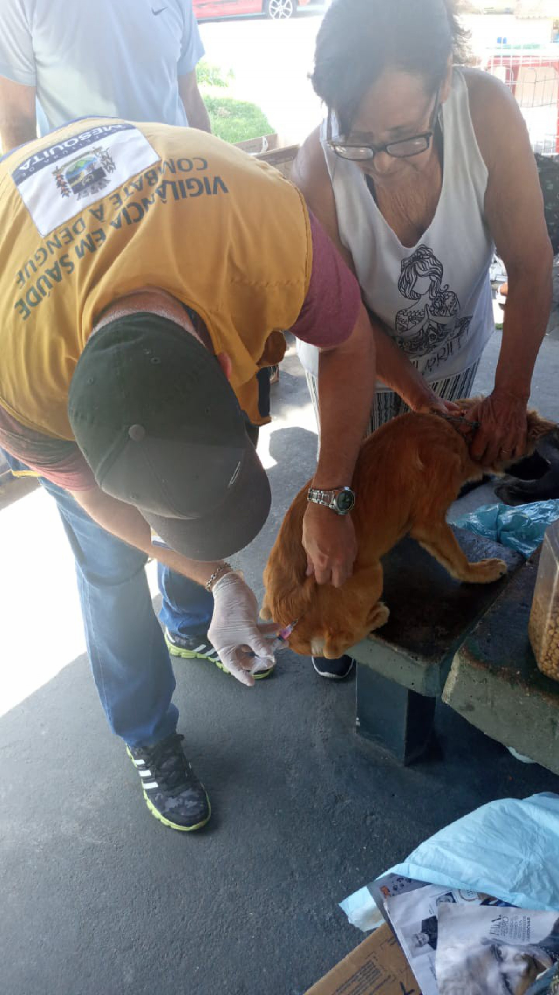 O evento, da Coordenadoria de Vigilância Ambiental e Zoonoses, contou, também, com a aplicação de vacinas antirrábica - Divulgação