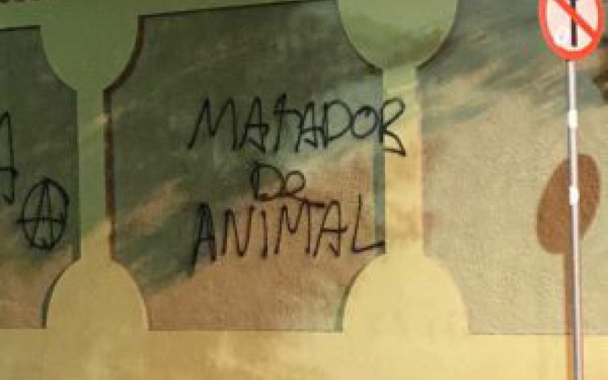O muro, na Rua Paran&aacute;, chamou a aten&ccedil;&atilde;o do tutor do gatinho