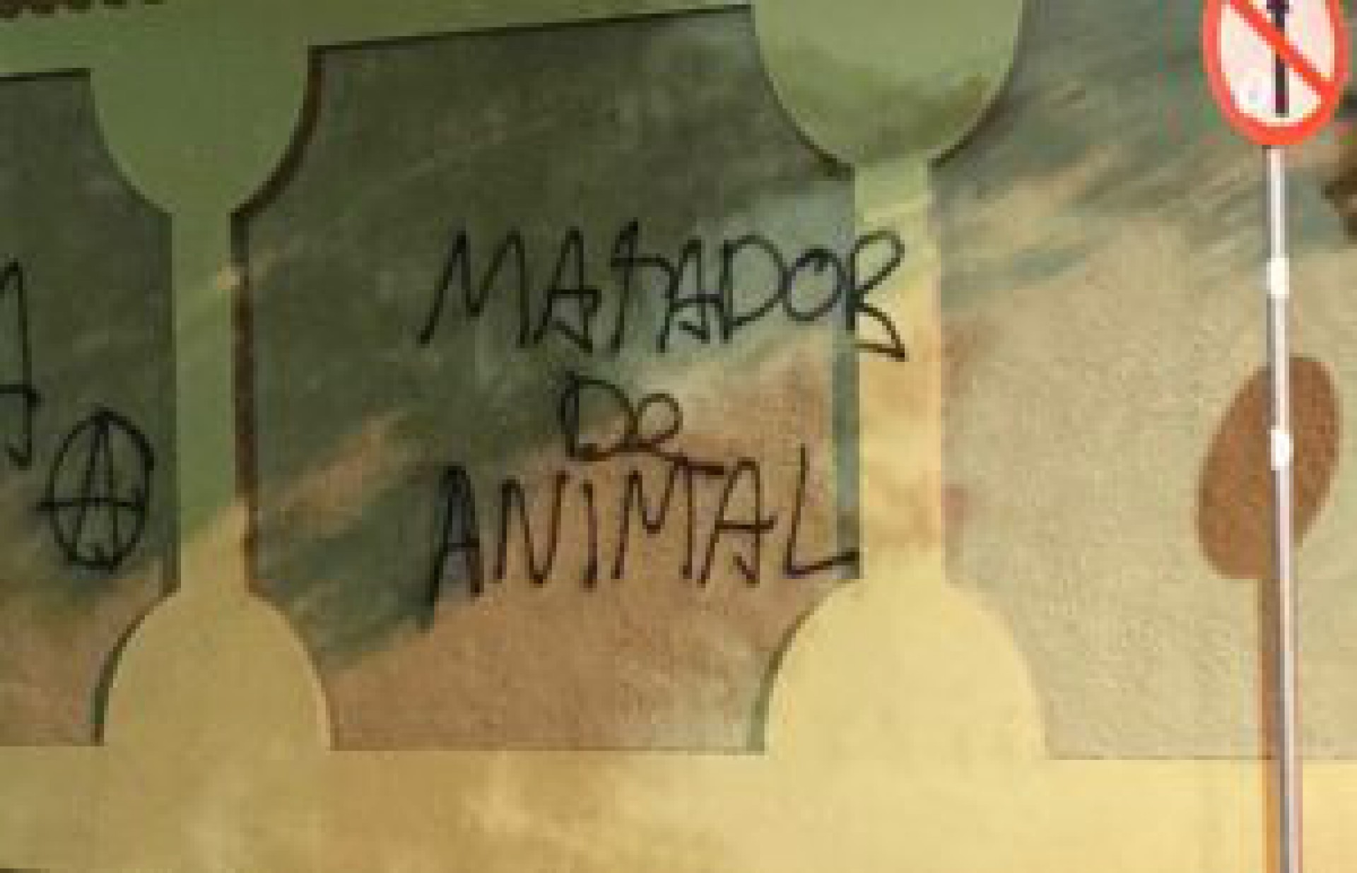 O muro, na Rua Paraná, chamou a atenção do tutor do gatinho - Letycia Rocha (RC24h)