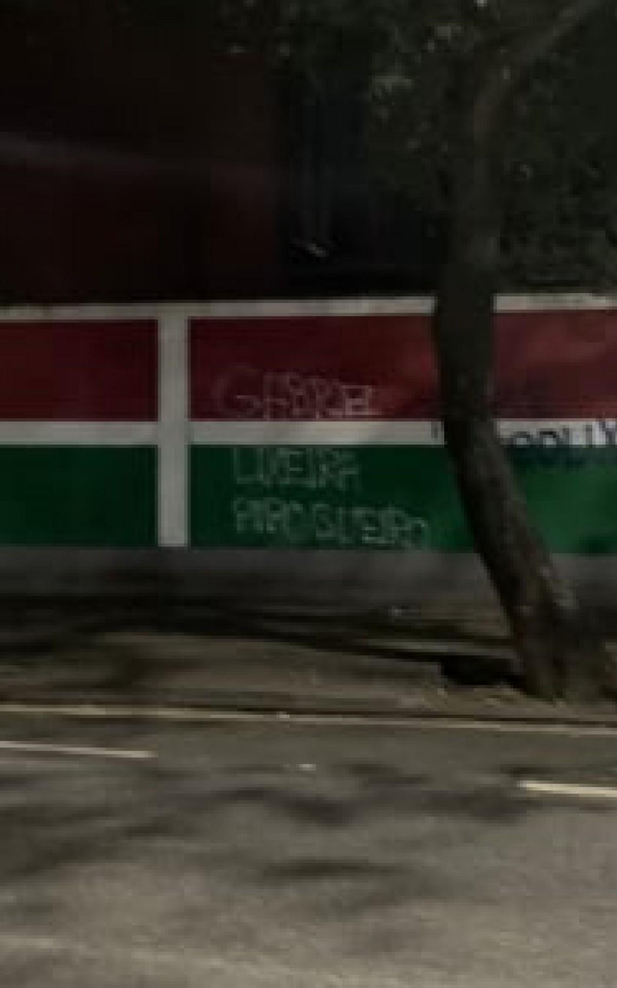 Torcedores protestam ap&oacute;s a precoce elimina&ccedil;&atilde;o na Copa Libertadores