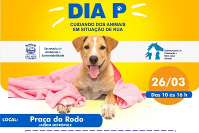 Dia P Meriti: Praça do Rodo recebe serviços gratuitos para Pets neste sábado (26)