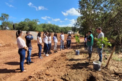 Vegetação destruída em rompimento de dique às margens do Rio Paraíba começa a ser replantada