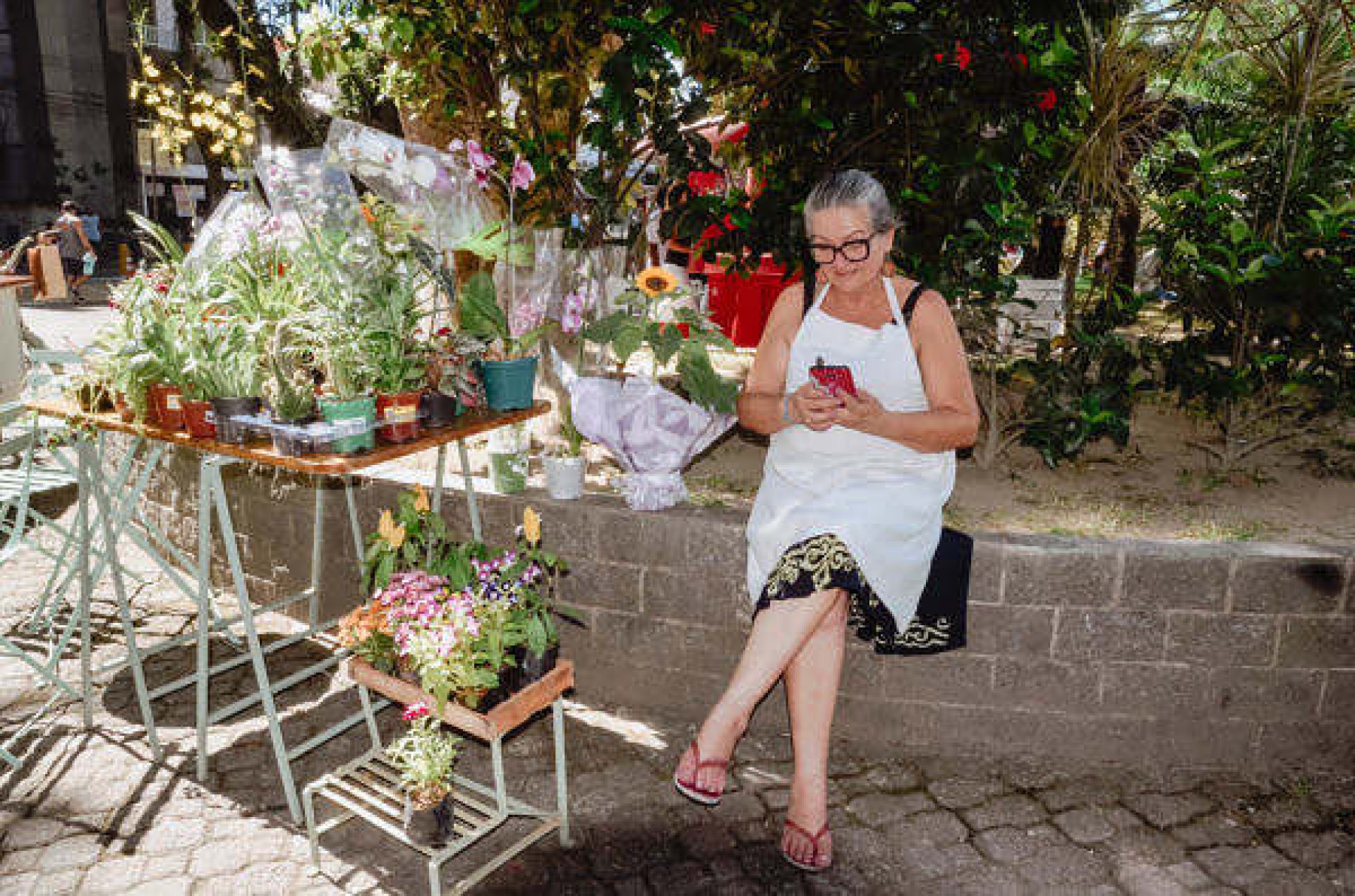 Prefeitura de Mag&eacute; lan&ccedil;a acesso gratuito &agrave; internet no munic&iacute;pio. - Divulga&ccedil;&atilde;o/Phelipe Santos.