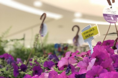 Caxias Shopping recebe nova edição da Feira Florescer